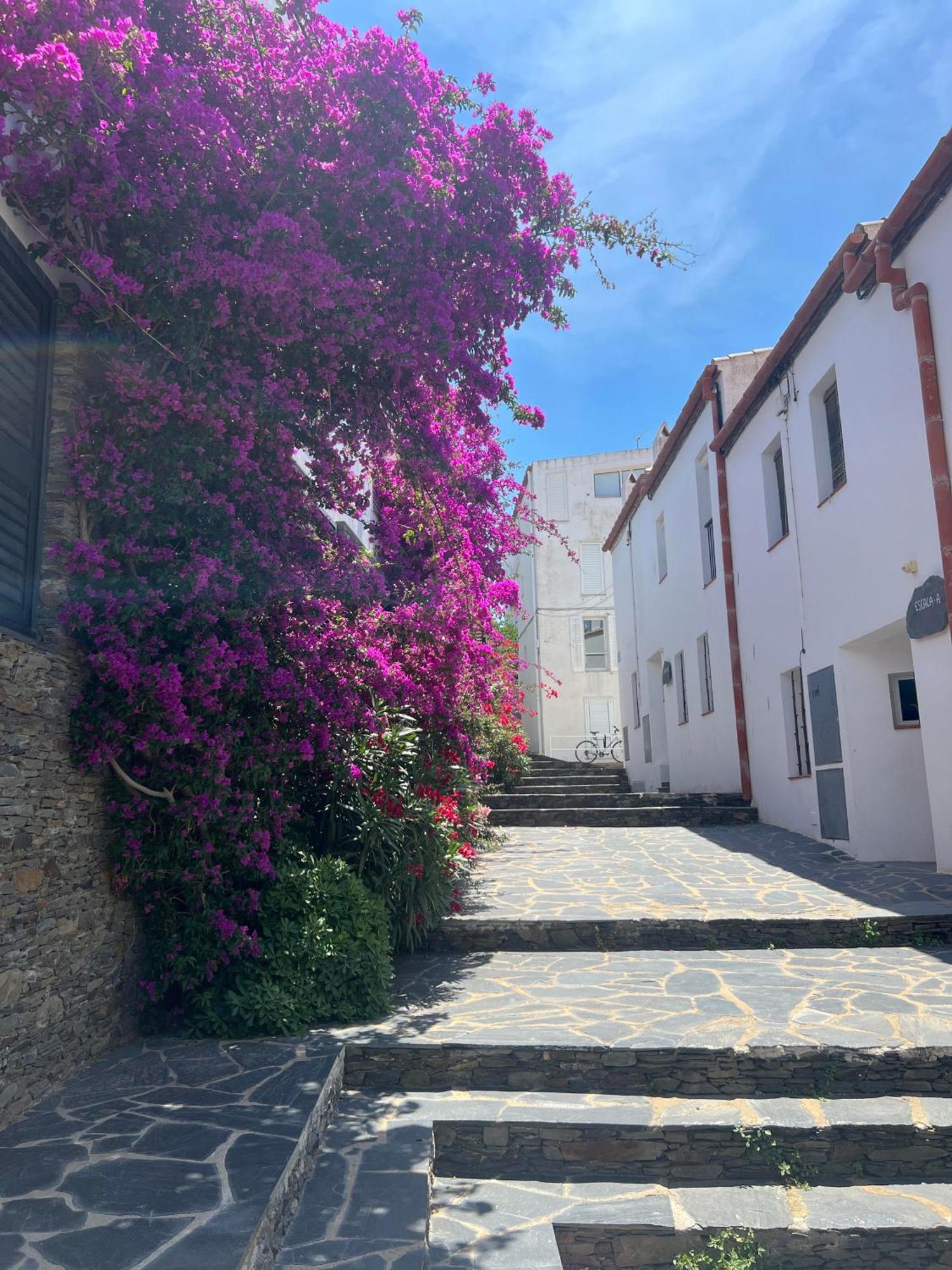 Canvas Apartments&Lofts Cadaqués Eksteriør billede