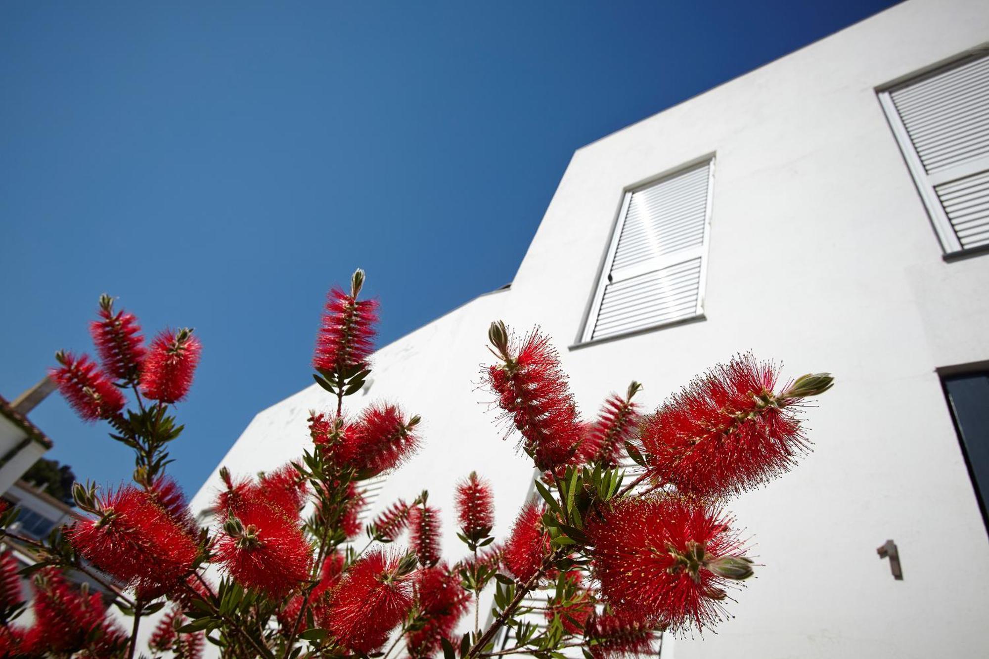 Canvas Apartments&Lofts Cadaqués Eksteriør billede